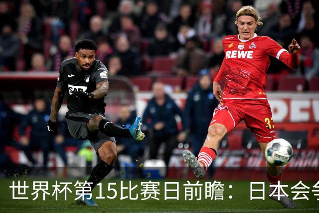 世界杯第15比赛日前瞻：日本会争小组第一还是第三？德国队不放水