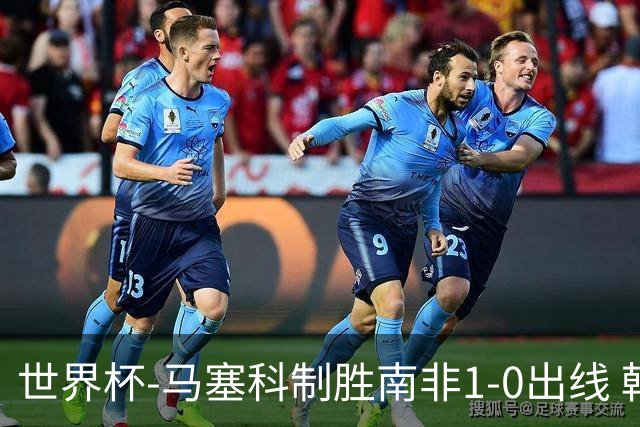 世界杯-马塞科制胜南非1-0出线 韩国积3分获小组第三待定