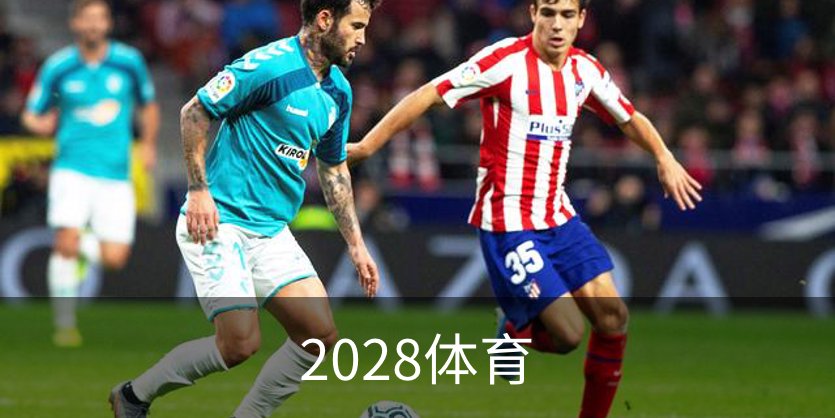 2028体育概况