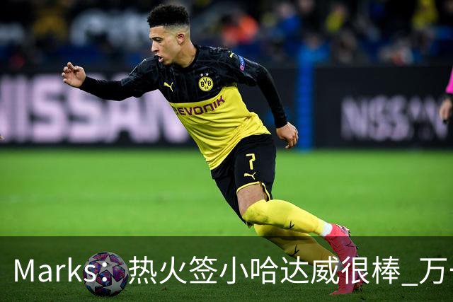 Marks：热火签小哈达威很棒 万一詹姆斯说给我600万我想回迈阿密